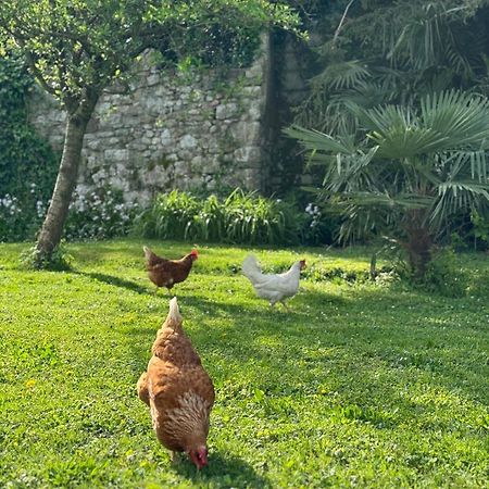 B&B Antico Fienile Gorizia Eksteriør billede