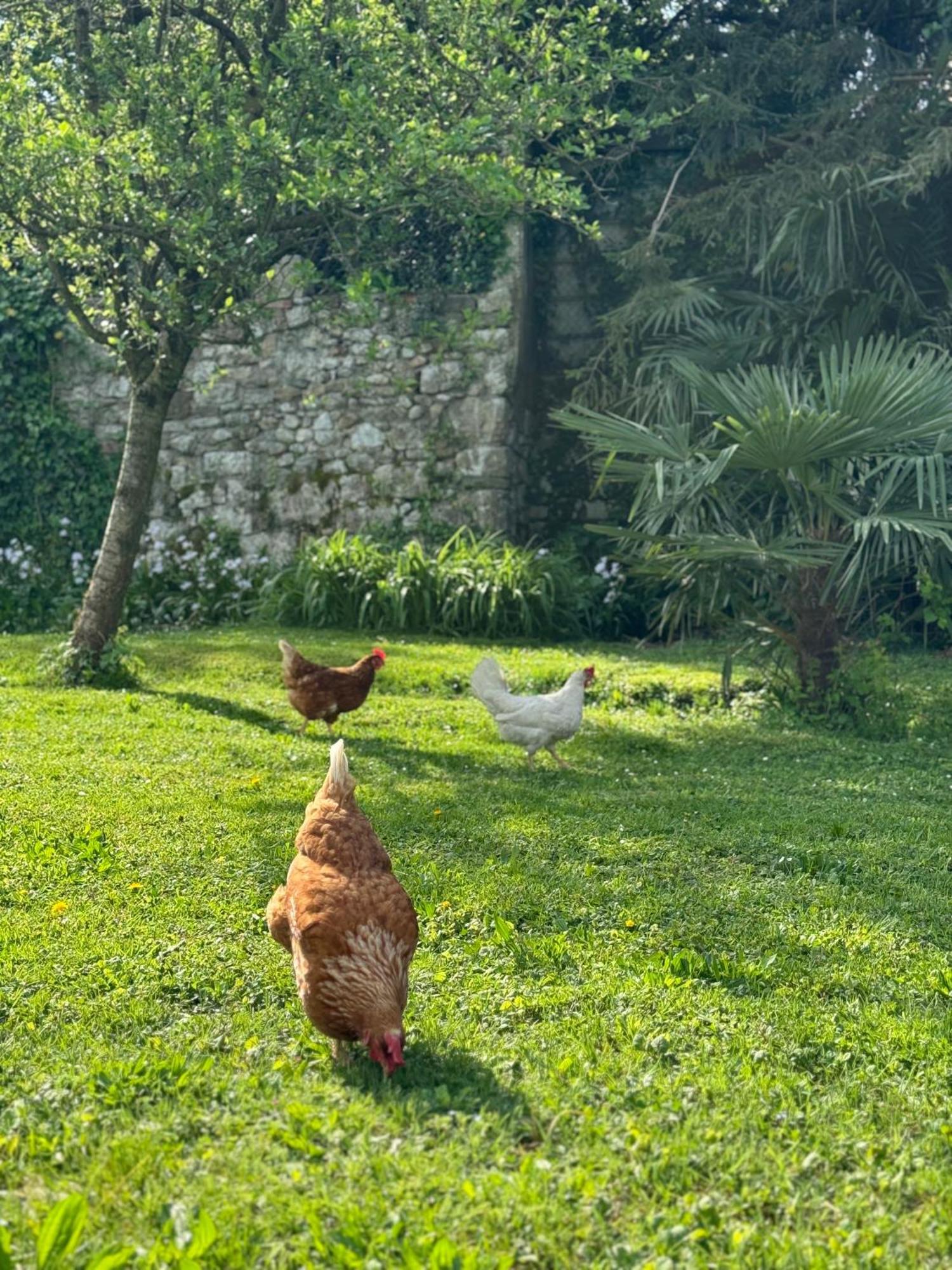 B&B Antico Fienile Gorizia Eksteriør billede